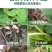 芸乐收花生套餐花生三遍药全套专用套餐控旺防早衰杀菌营养促