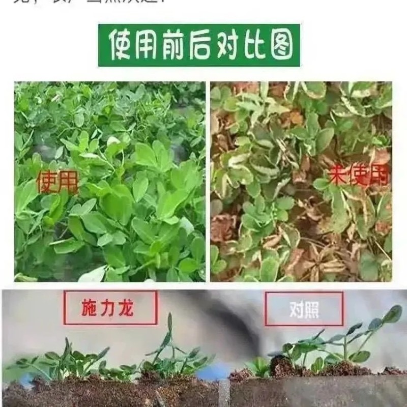 芸乐收花生套餐花生三遍药全套专用套餐控旺防早衰杀菌营养促