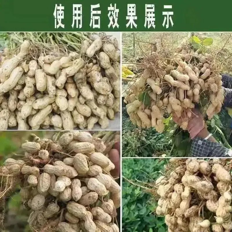 芸乐收花生套餐花生三遍药全套专用套餐控旺防早衰杀菌营养促