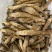 鸡枞菌