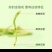 平邑金银花茶250g散装天然特纯级茶叶泡水搭配组合菊花清