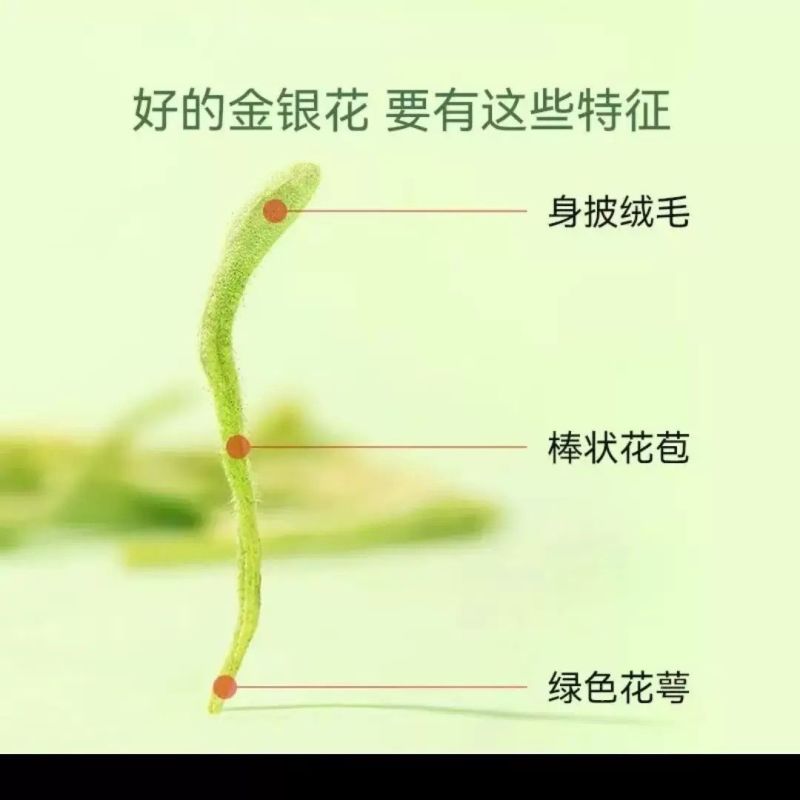 平邑金银花茶250g散装天然特纯级茶叶泡水搭配组合菊花清
