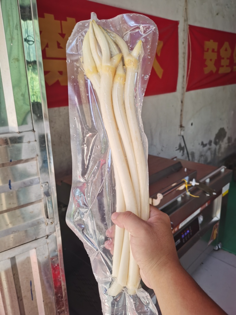 仙桃藕带，真空包，只做真空包藕带，欢迎线上下单。