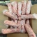 猪骨髓，烧烤专用食材