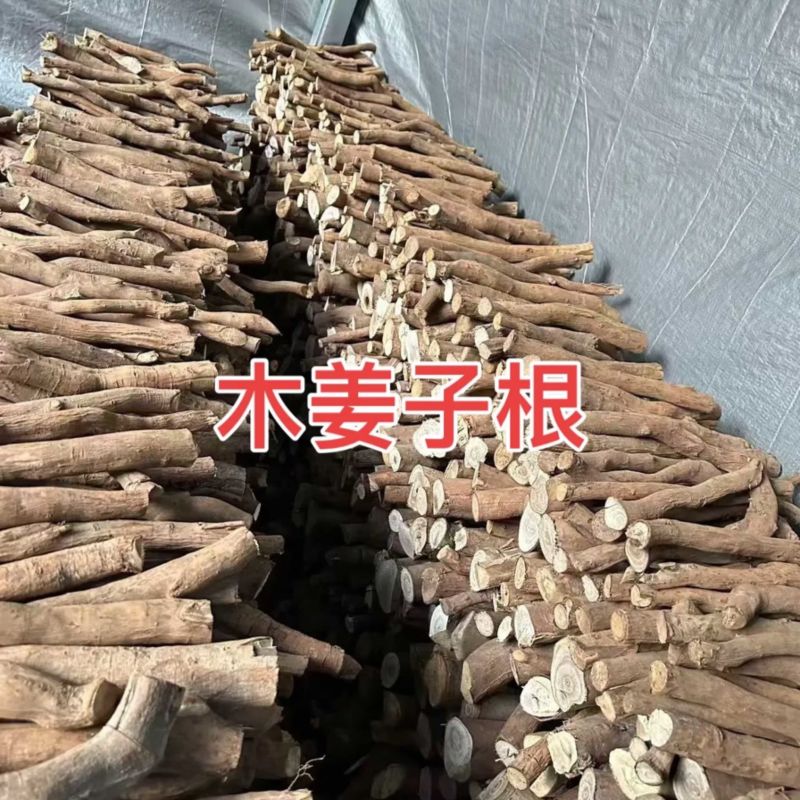 木姜子根