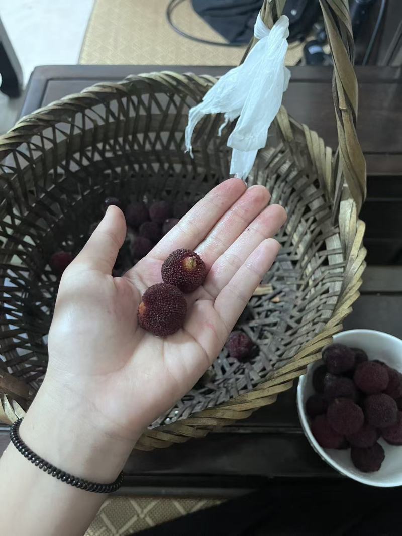 杨梅