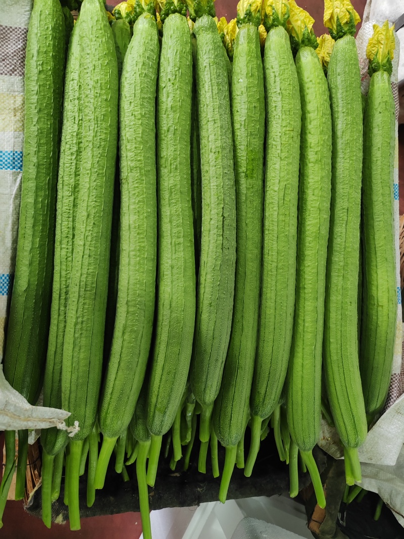 丝瓜