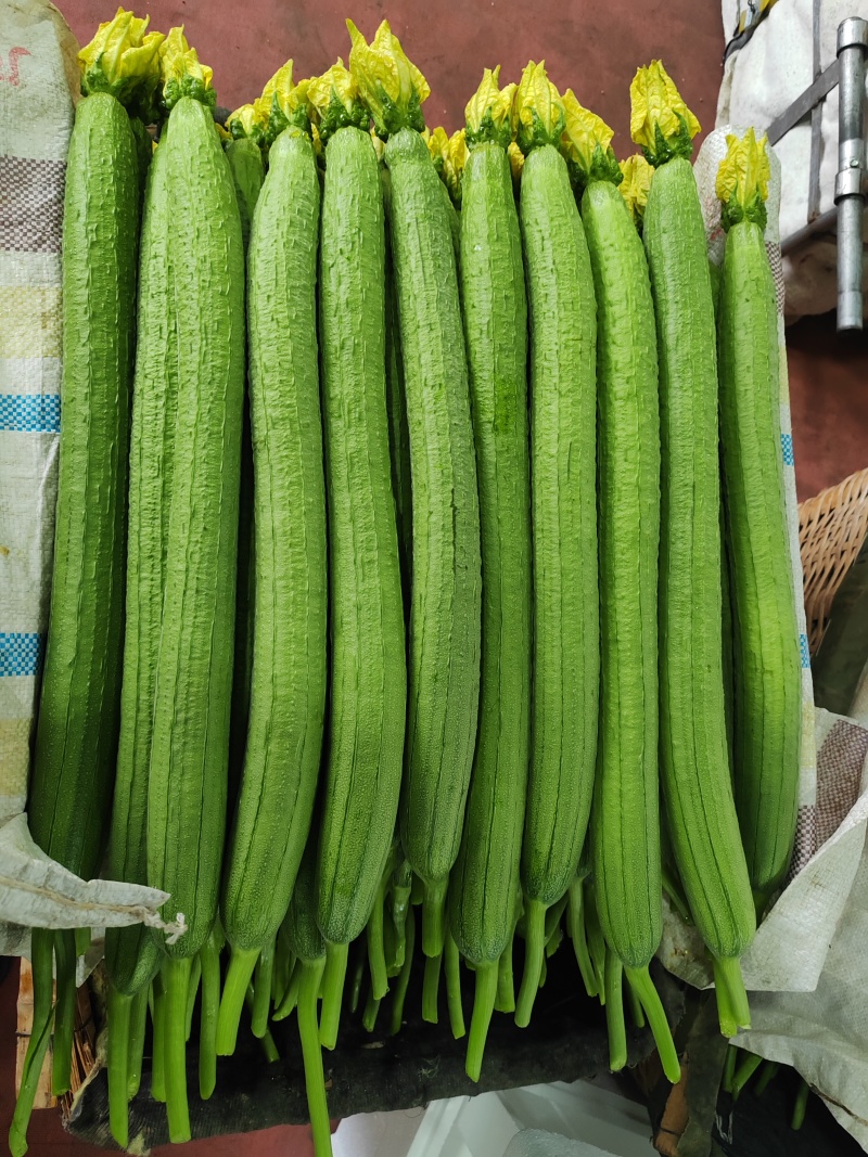 丝瓜