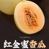 【热卖】安阳精品红金蜜甜瓜/货源充足价格实惠欢迎来电