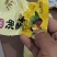 油栗仁小包装