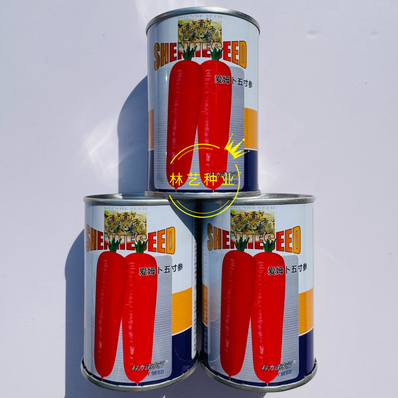 爱姆卜五寸参甜胡萝卜种子红皮红肉甜脆多汁胡萝卜种籽