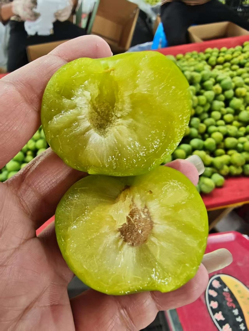 一件代发六马蜂糖李清脆李平台出口从优品种齐全味甜爆汁