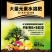大量元素水肥料ke77389样品链接