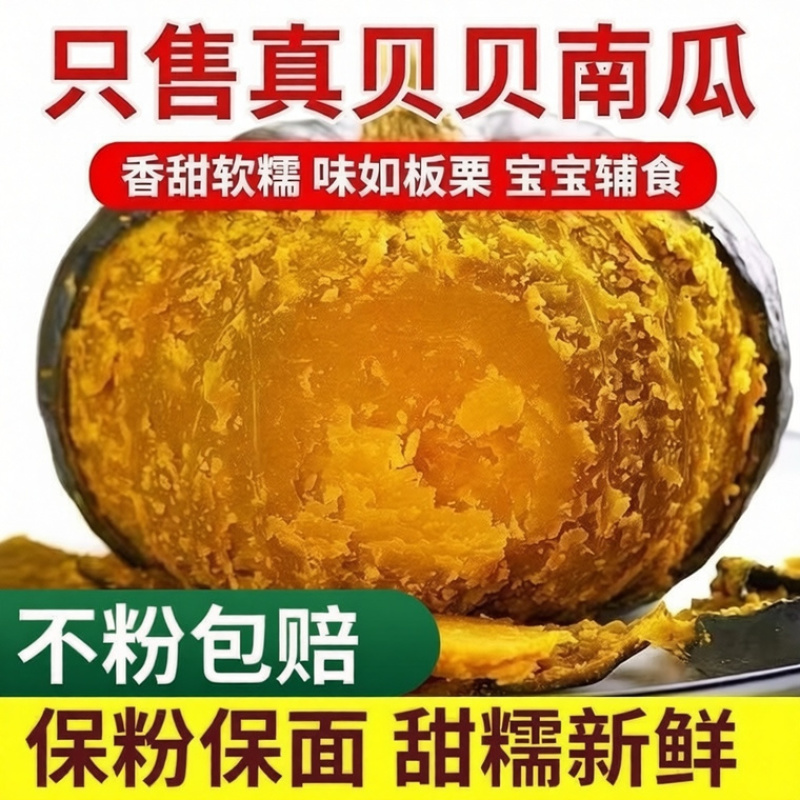 《实力》宜城贝贝南瓜大量上市中对接商超团购供应链一条龙