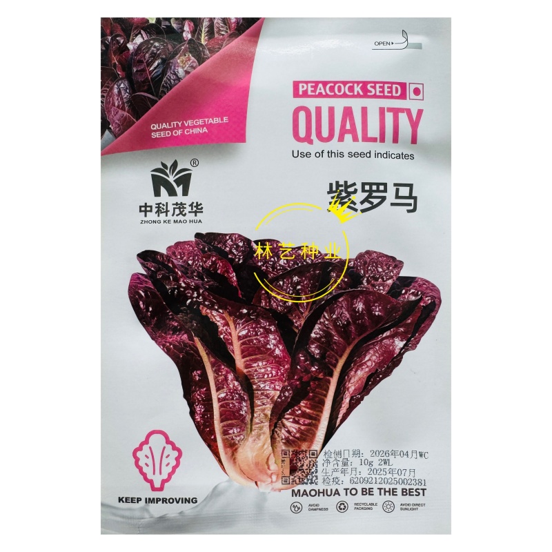 紫罗马生菜种子紫孔雀菜不生虫免打药家庭院播蔬菜种籽