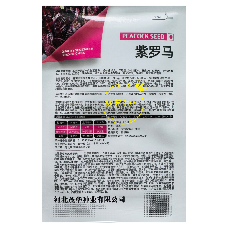 紫罗马生菜种子紫孔雀菜不生虫免打药家庭院播蔬菜种籽