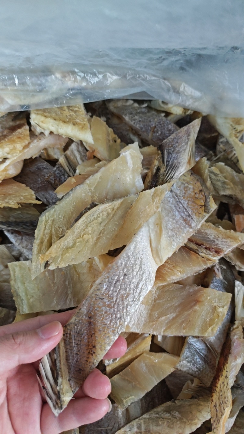 海鲈鱼干块鲈鱼干批发鲈鱼干段