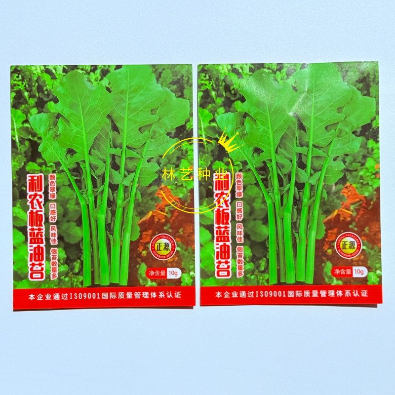 利农板蓝油苔种子较耐热口感软糯香甜真正的板蓝根菜苔