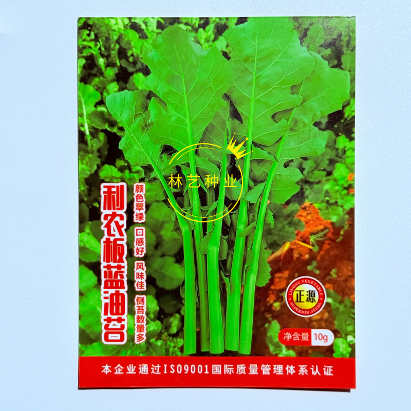利农板蓝油苔种子较耐热口感软糯香甜真正的板蓝根菜苔