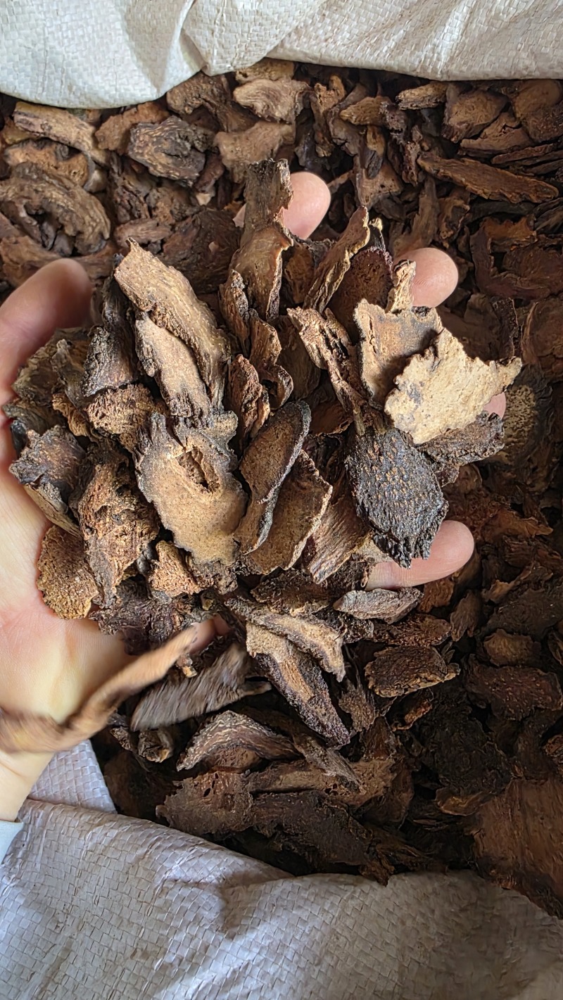 正品内蒙阿拉善野生锁阳片干货无硫无染色肉质饱满泡酒