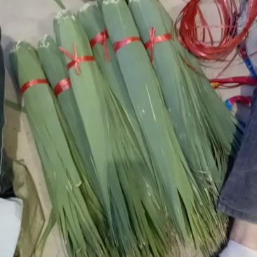 山西粽叶