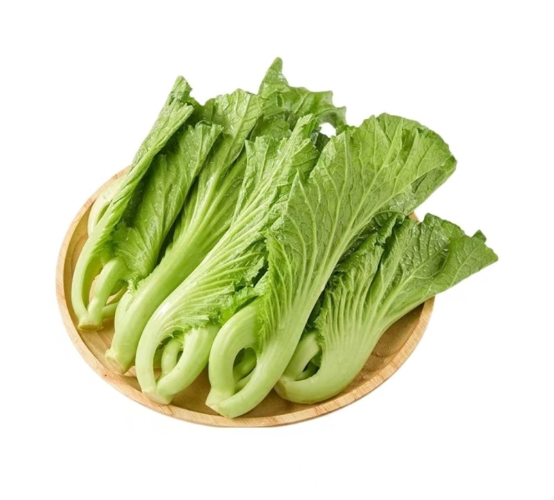 芥菜，常年有货
