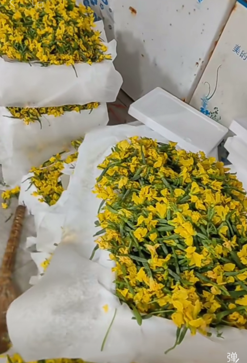 黄瓜花