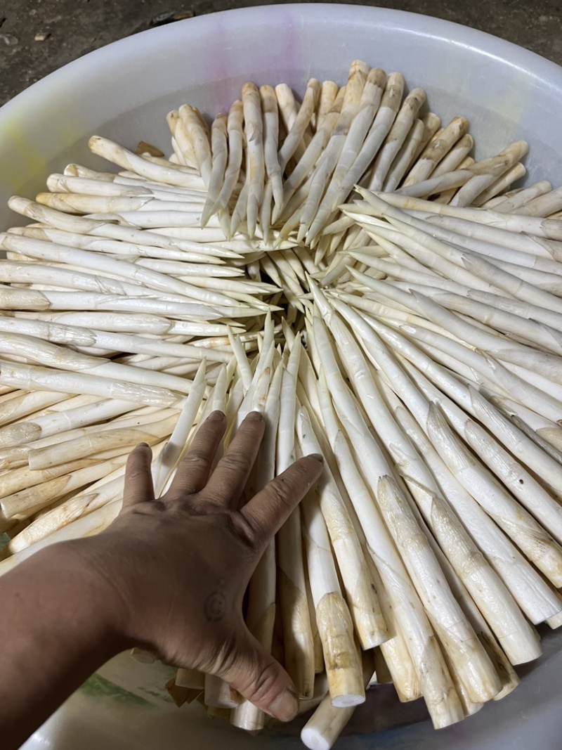 蒙自草牙，名为象牙草，长期供应，批发价格。同城多少都送货上门