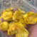 金花茶新茶广西十万大金花茶精选冻干花朵金茶花批发零售