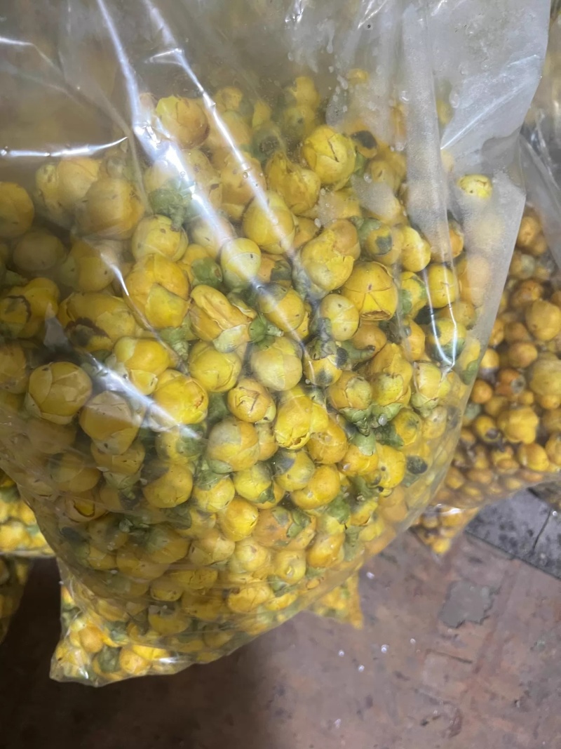 金花茶新茶广西十万大金花茶精选冻干花朵金茶花批发零售