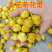 金花茶新茶广西十万大金花茶精选冻干花朵金茶花批发零售