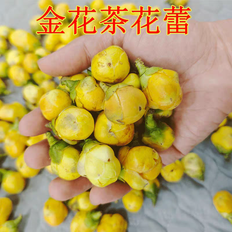 金花茶新茶广西十万大金花茶精选冻干花朵金茶花批发零售
