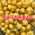 金花茶新茶广西十万大金花茶精选冻干花朵金茶花批发零售