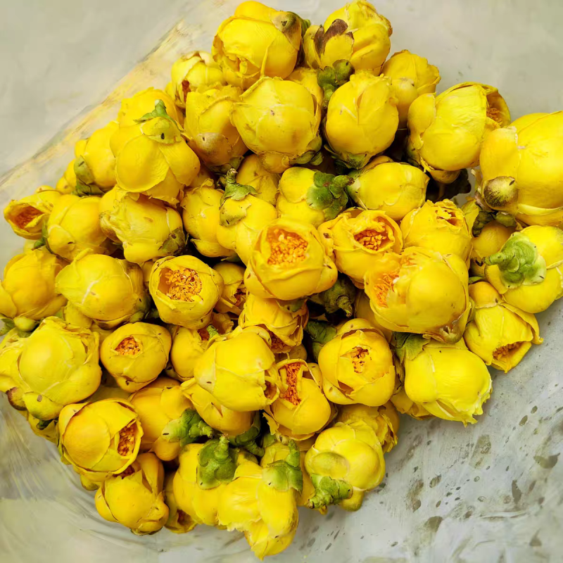 金花茶新茶广西十万大金花茶精选冻干花朵金茶花批发零售