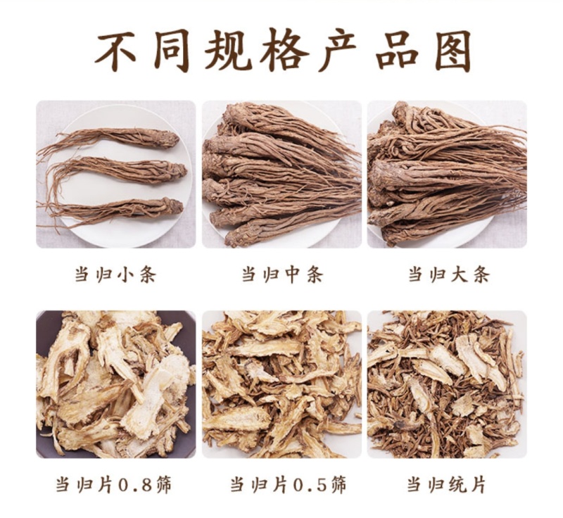 当归，节片，头片品质保障货真价实自有实体店欢迎老板联系