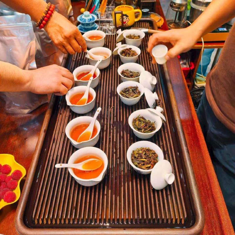 武夷山生态高山云雾茶