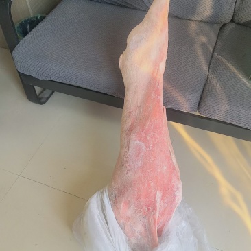 羊酮体