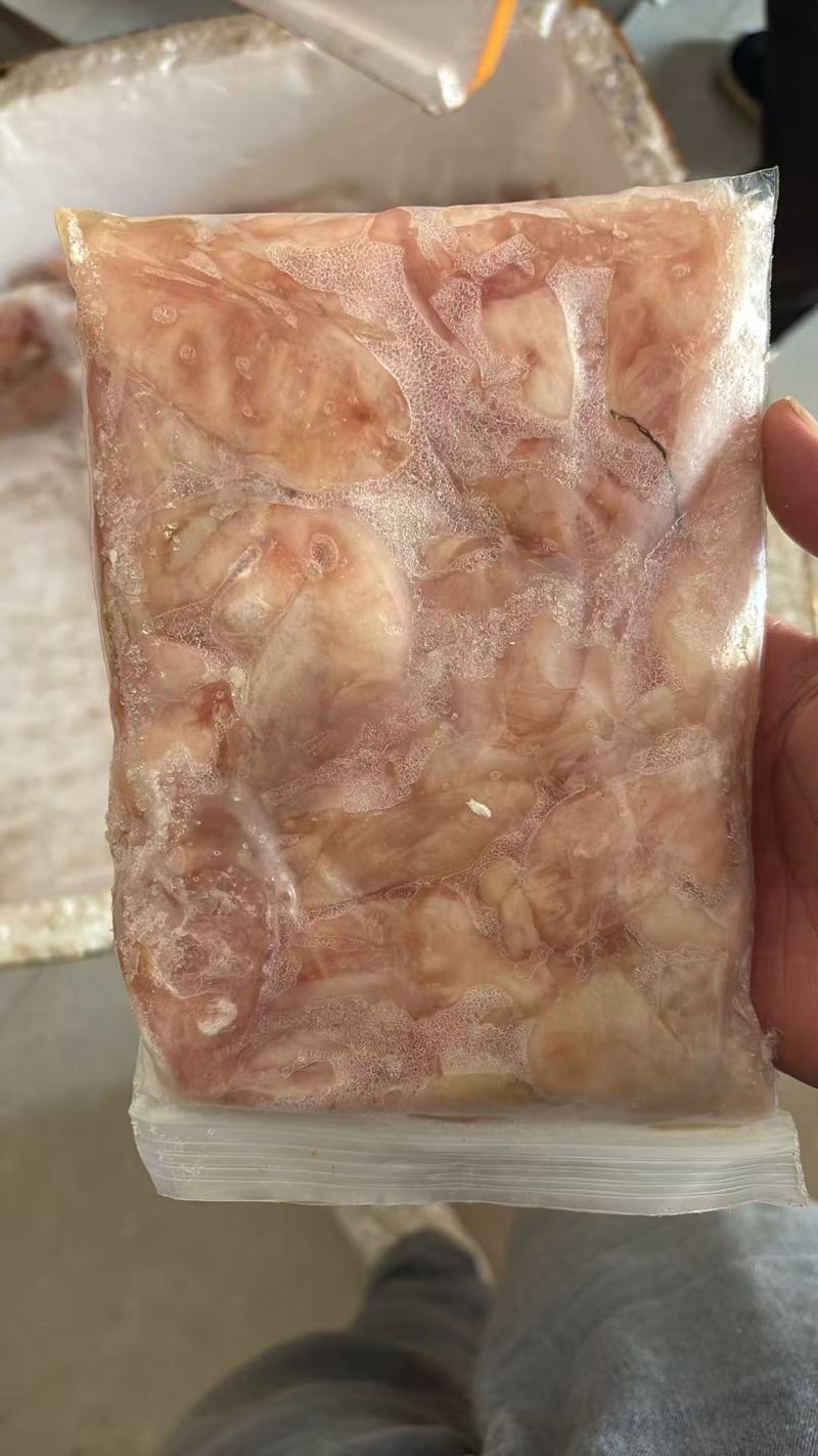鱼胶，白鲢，花鲢鱼内泡