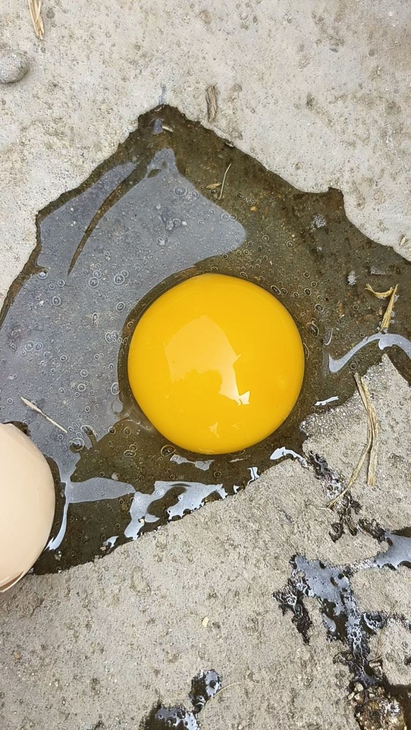 草鸡蛋