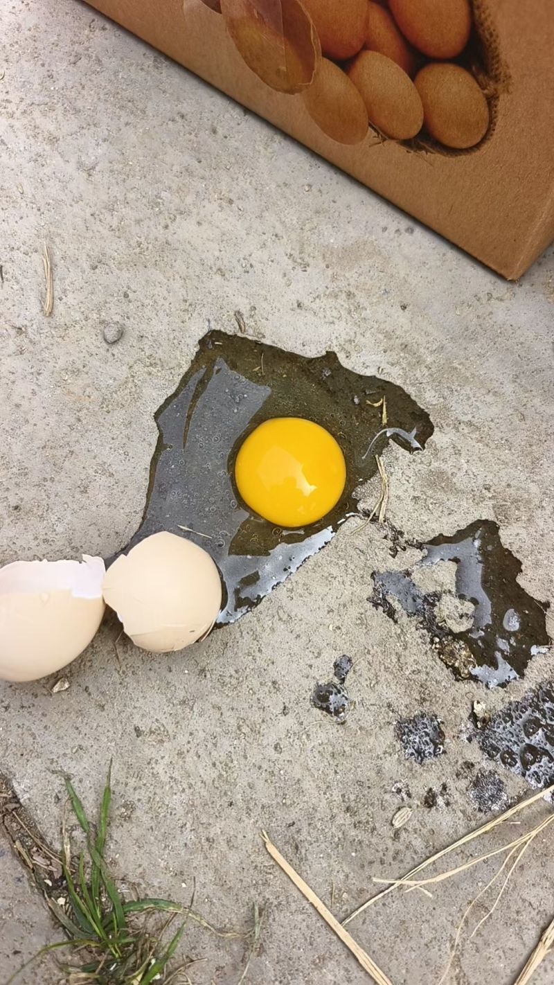 草鸡蛋