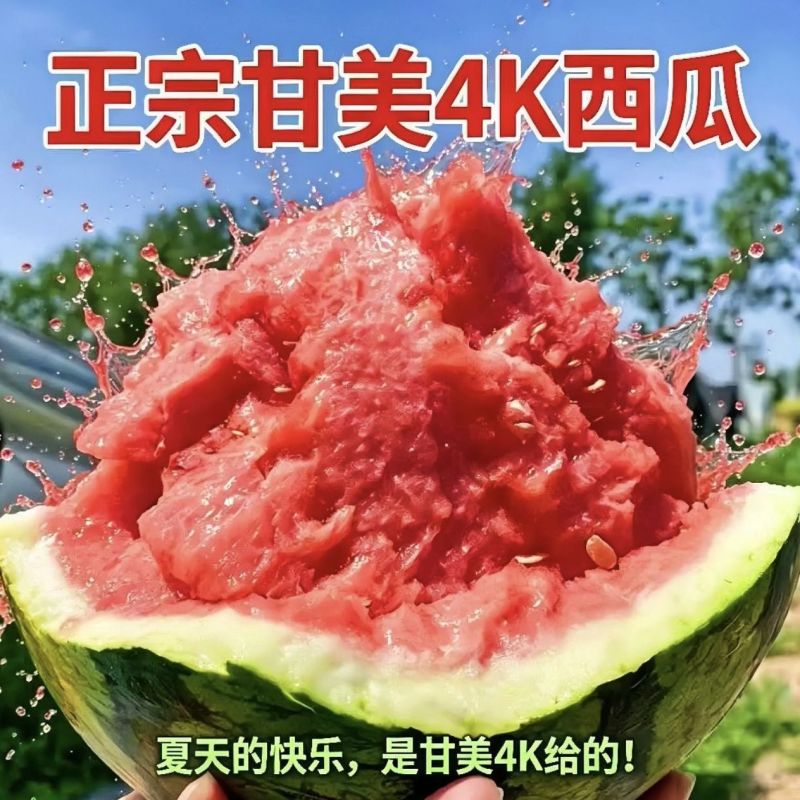 陕西甘美4k西瓜品种齐全对接商超团购电商一条龙服务