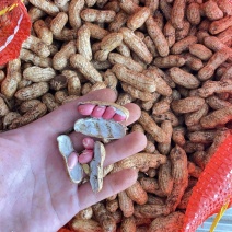 四粒红鲜花生，颗粒饱满，保质保量，产地直发