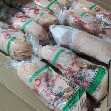 大日期白条鸭2500一吨