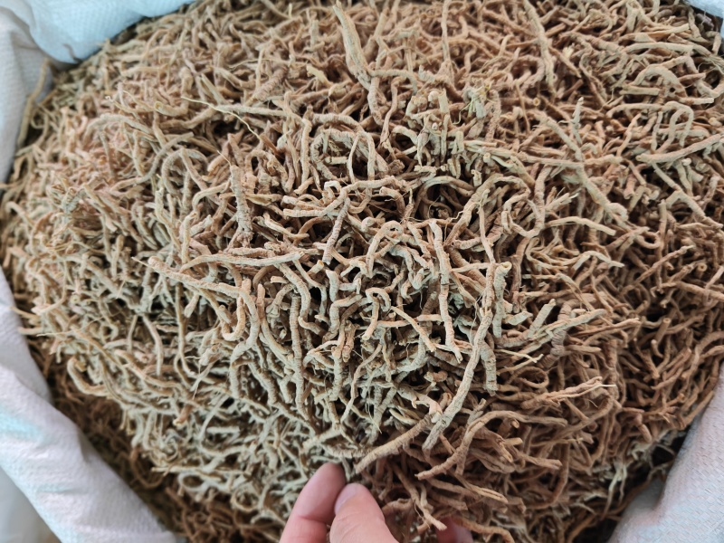远志筒中药材山西生品抽芯率高选装大条无硫好货