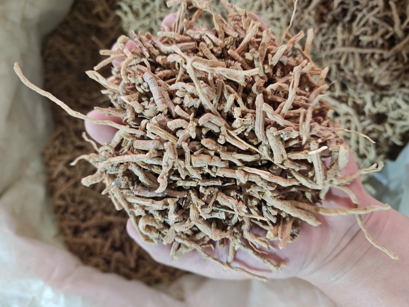 远志筒中药材山西生品抽芯率高选装大条无硫好货