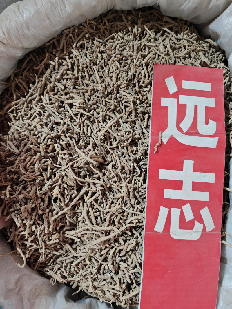 远志筒中药材山西生品抽芯率高选装大条无硫好货