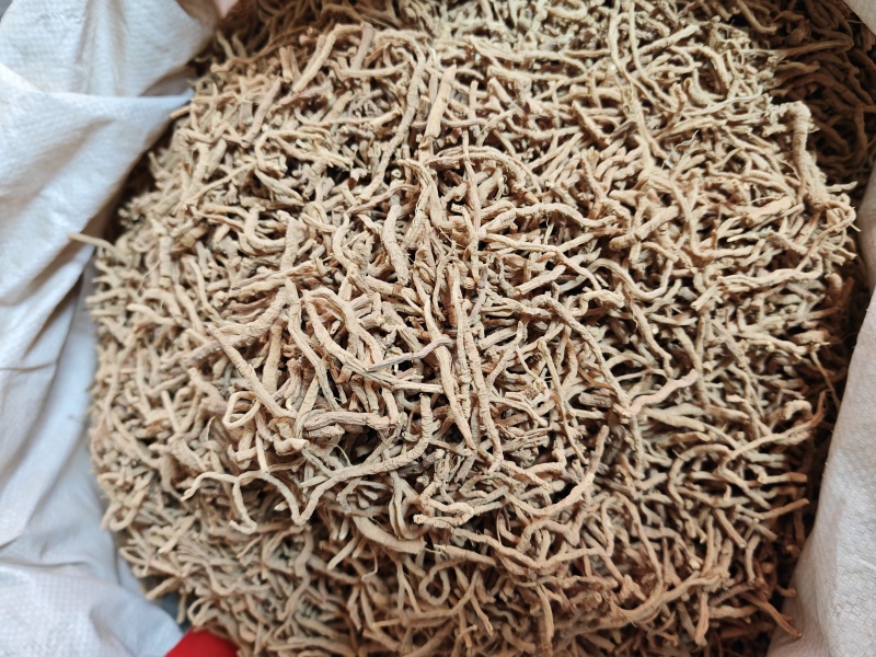 远志筒中药材山西生品抽芯率高选装大条无硫好货