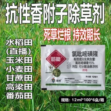 香附子除草剂烂根剂氯吡嘧磺隆水稻玉米甘蔗阔叶草莎草除草剂