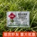 香附子除草剂烂根剂氯吡嘧磺隆水稻玉米甘蔗阔叶草莎草除草剂