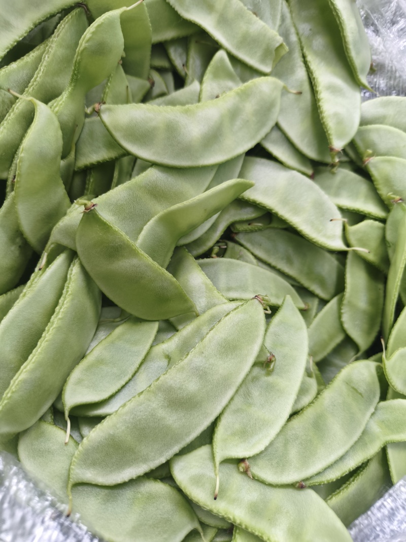 【实力推荐】江苏茶豆/扁豆//视频看货/对接商超批发市场
